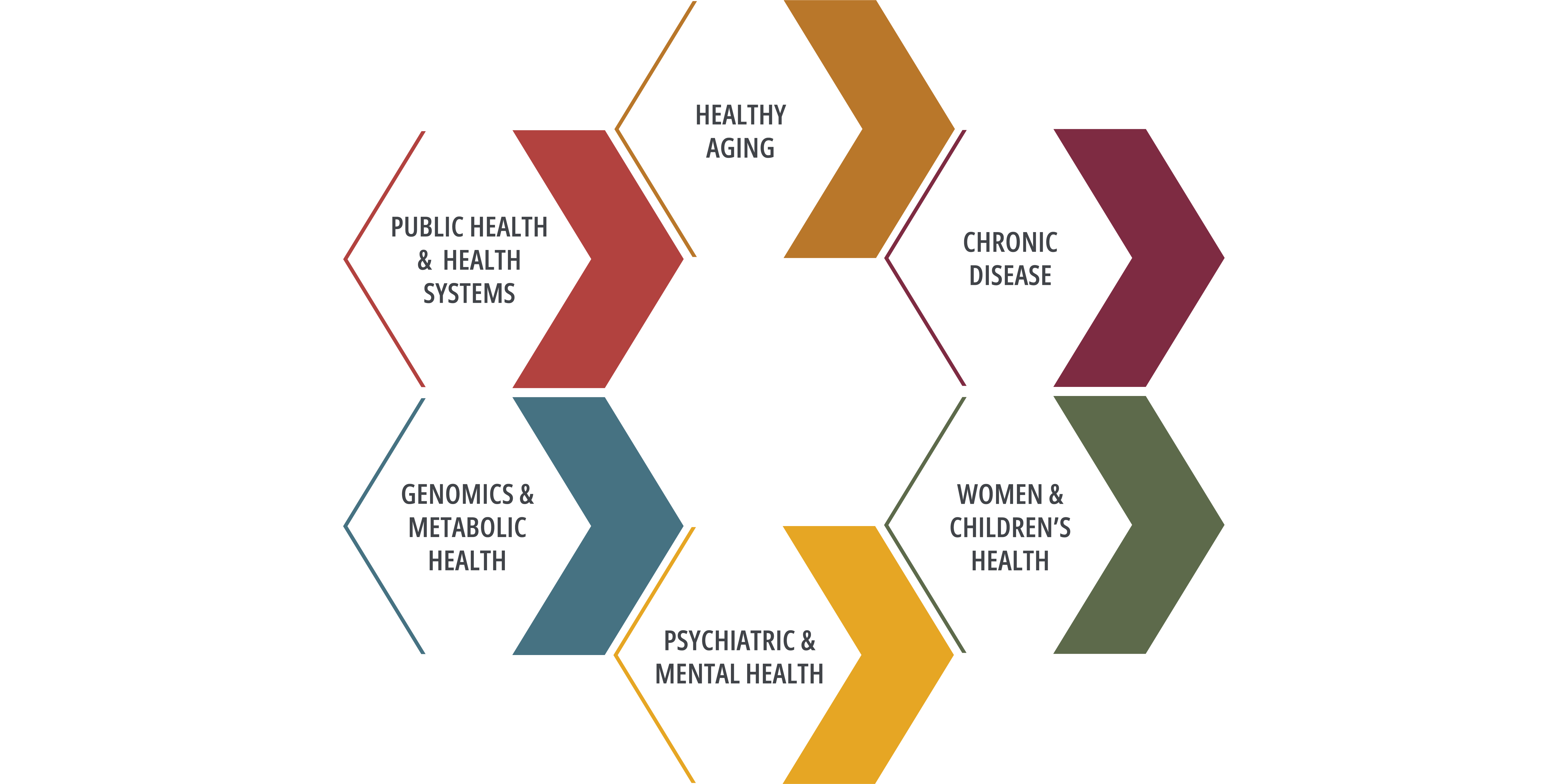 CSON-Reseach_HoneyComb 600x300