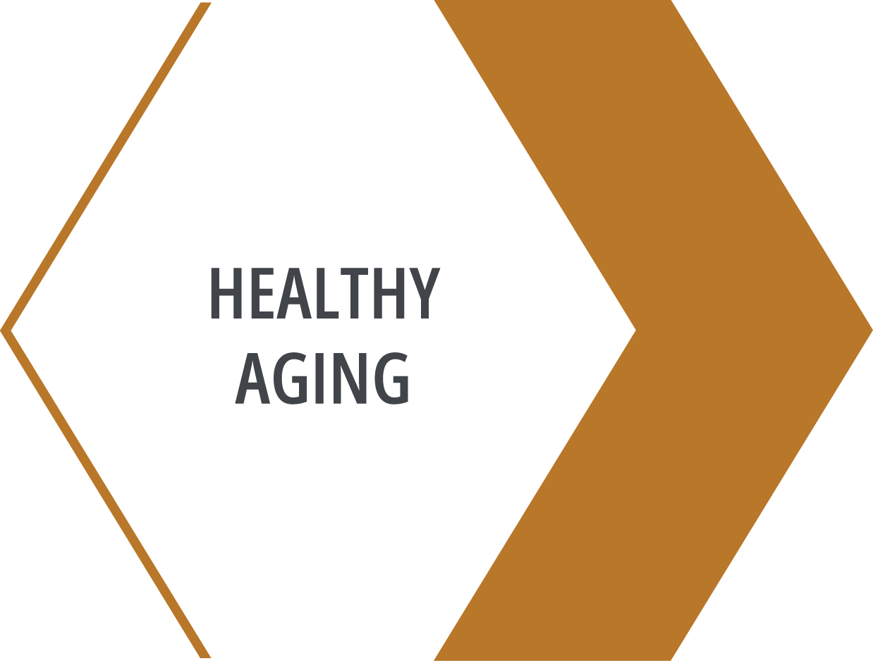 Graphic with orange triangles  and label 'healthy aging'