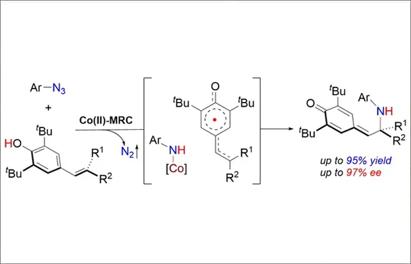MapID-based quantitative mapping of chemical modifications and expression of human transfer RNA