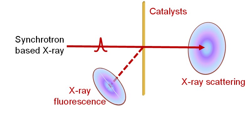 insitu