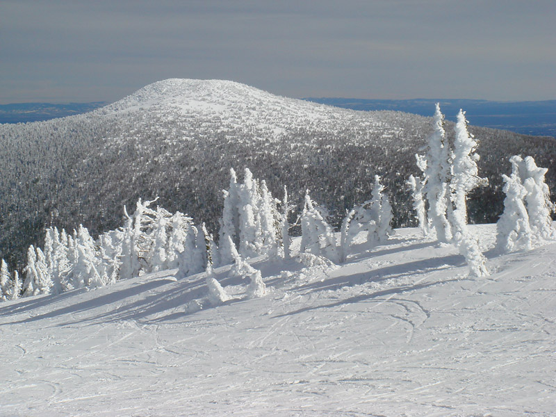 Ski