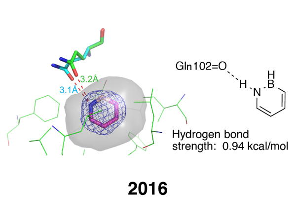 Hydrogen Bonding