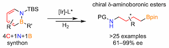 Enantioselective hydrogenation of 1,2-azaborines