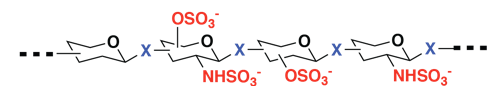 ChemicalTools to Study Carbohydrate and Protein Sulfation