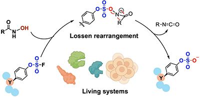 Niu Lab publication