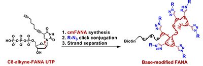 Niu Lab publication