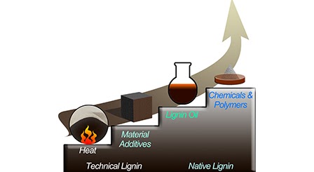 Niu Lab publication