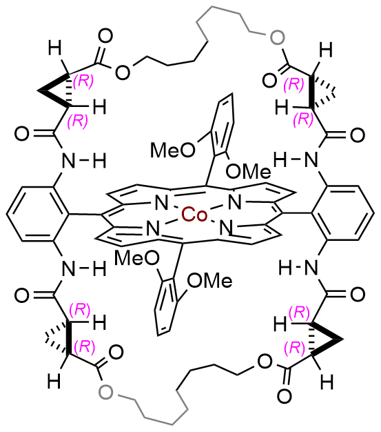 26-DiMeO-HuC8Phyrin