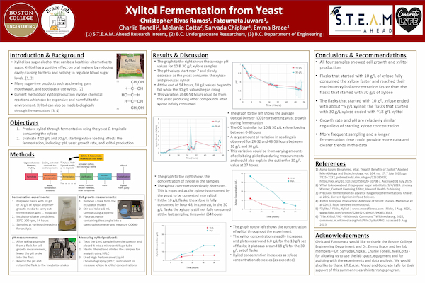 STEAM Ahead July 2025 poster Brace Lab