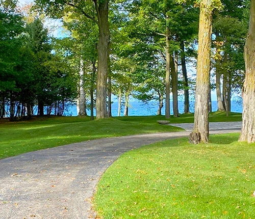A curving gravel path through pine trees with blue water and sky in the background.
