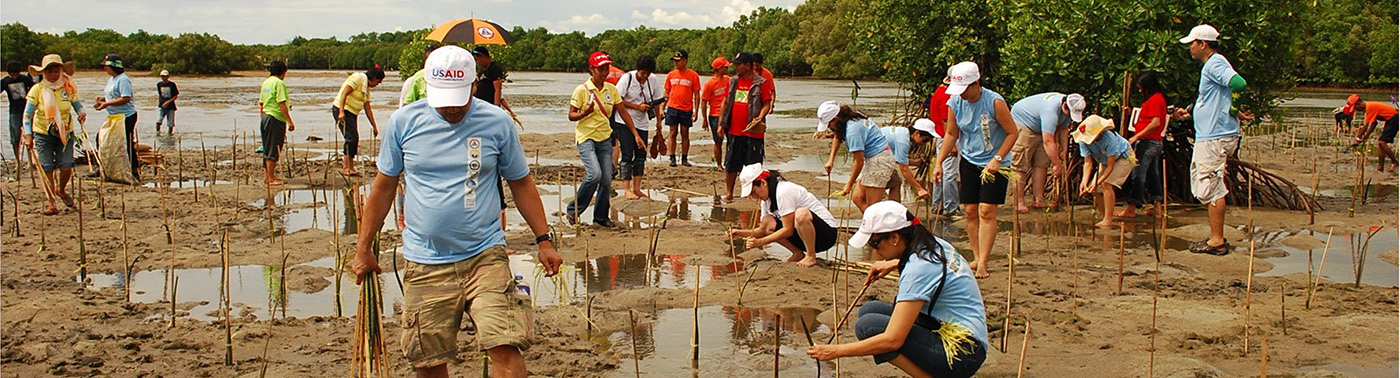 Working in the field. Photo credit: USAID