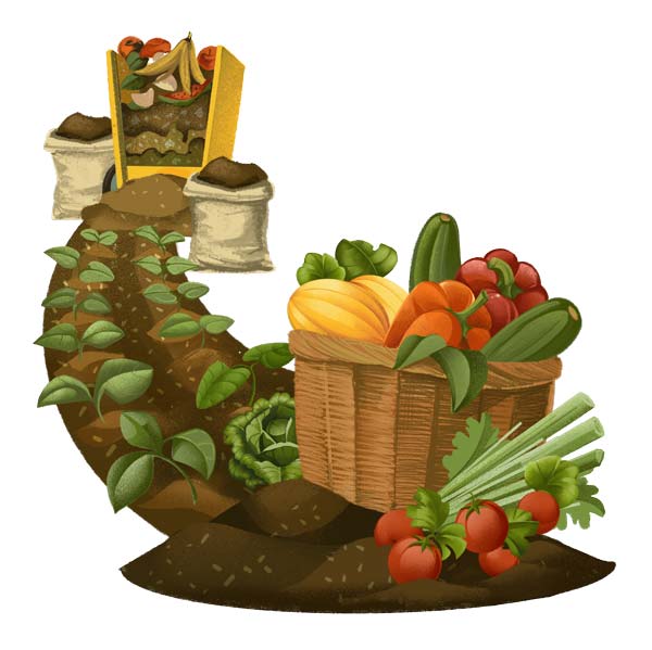 Illustration of composting process