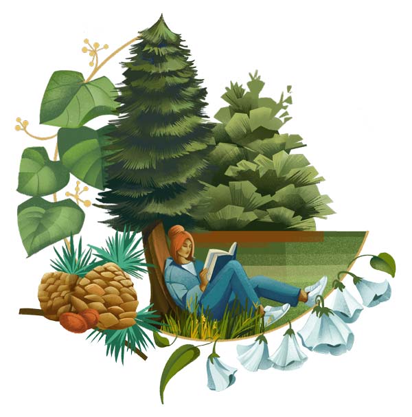 Illustration of a student reading under various trees