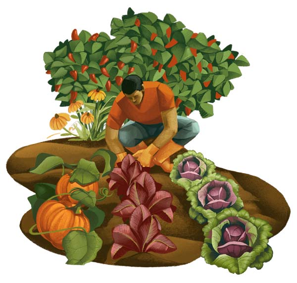 Illustration of student tending a garden