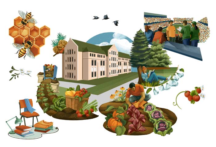 Illustration of the sustainability initiatives at Boston College