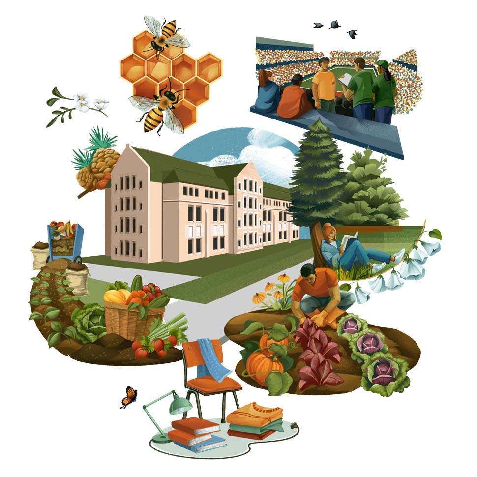Illustration of the sustainability initiatives at Boston College
