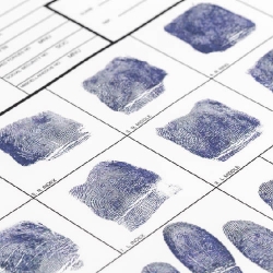 Fingerprint