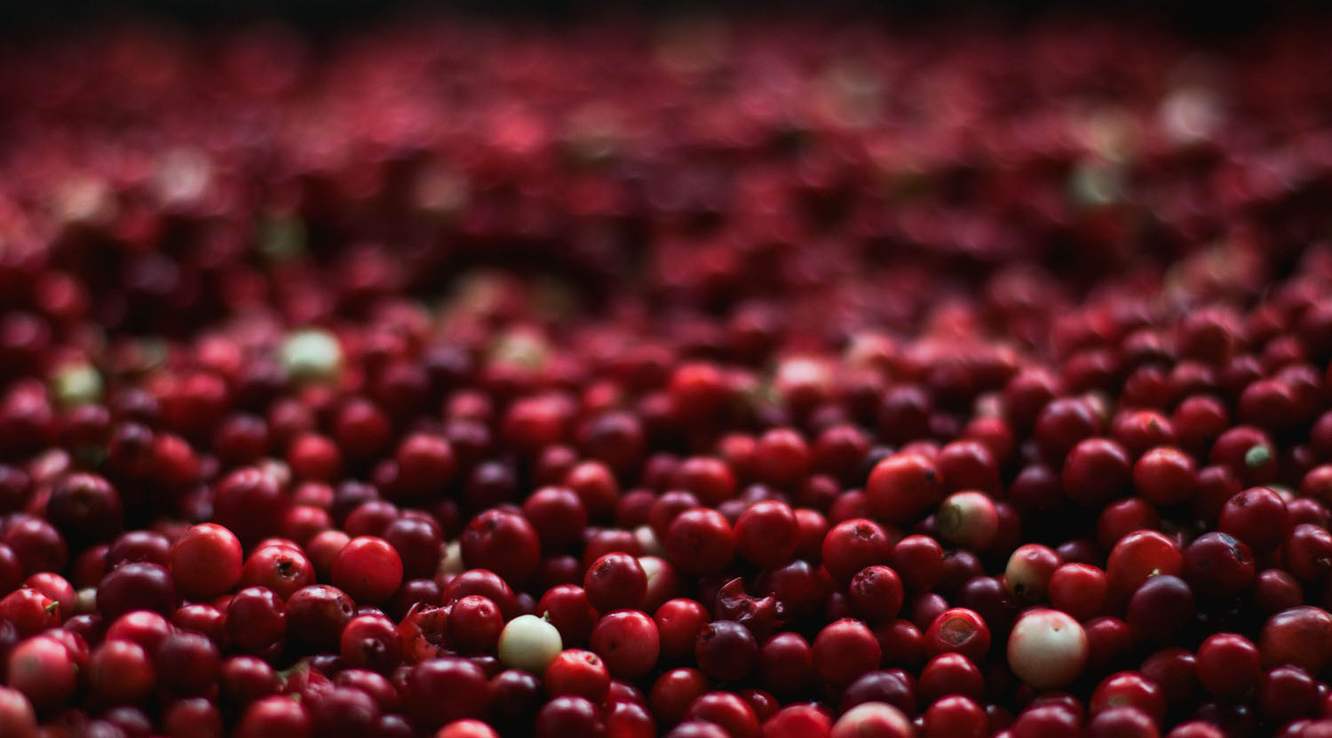 cranberries