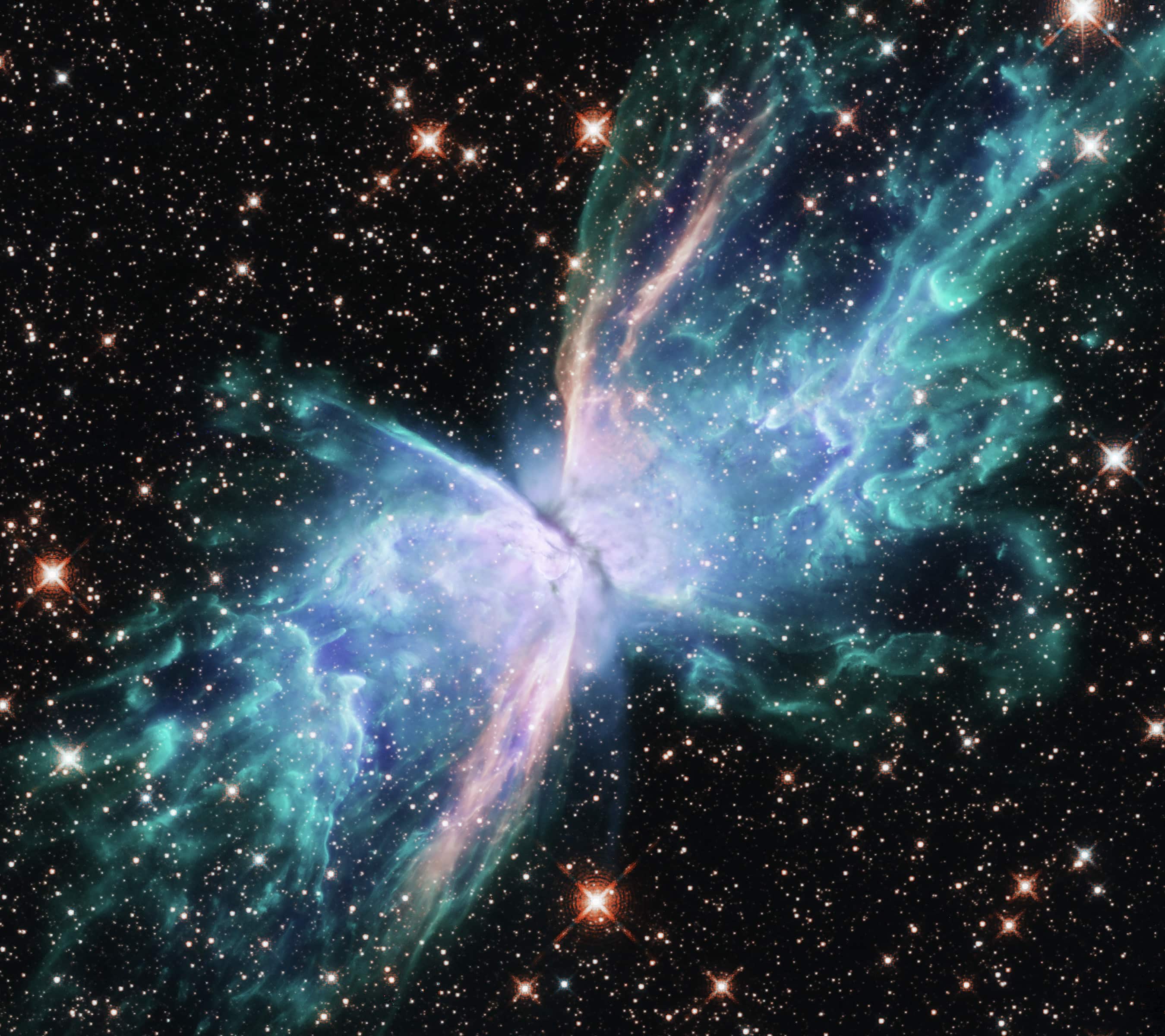 the butterfly nebula