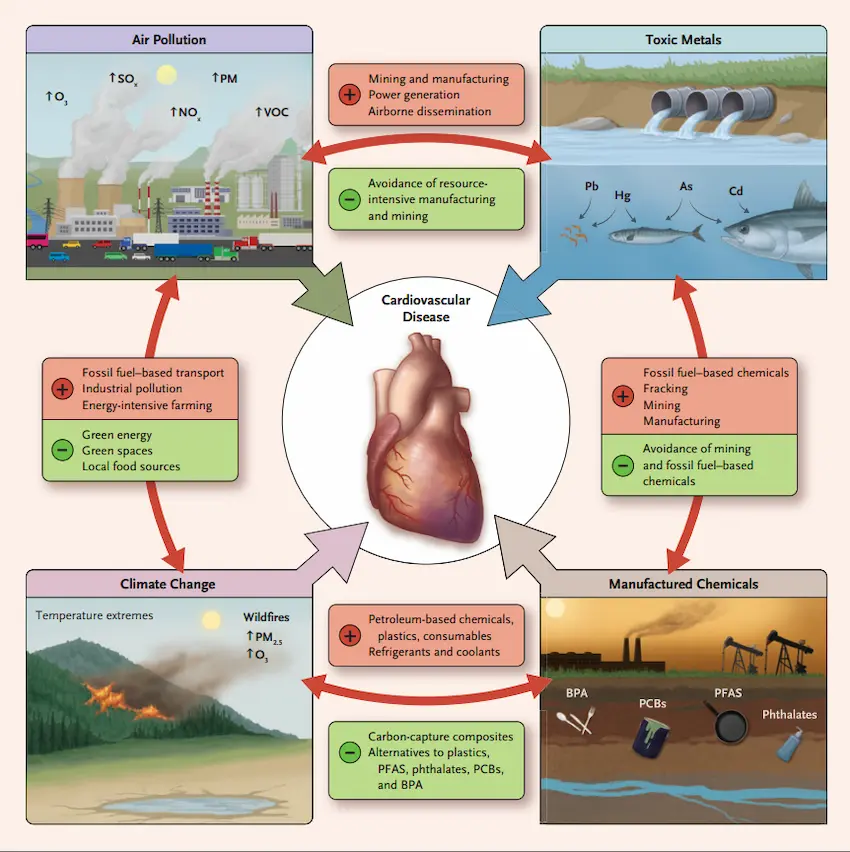 heartpollution_850x850
