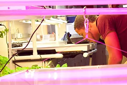 Student working in laboratory